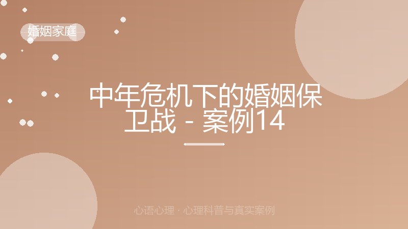 中年危机下的婚姻保卫战 - 案例14