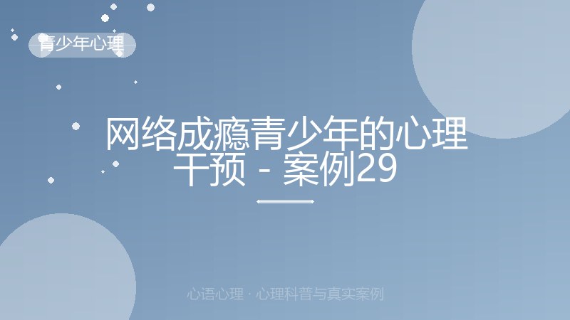 网络成瘾青少年的心理干预 - 案例29
