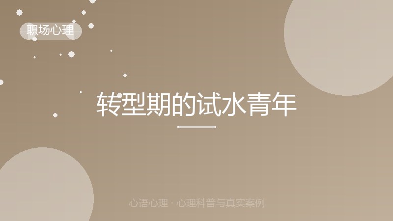 转型期的试水青年