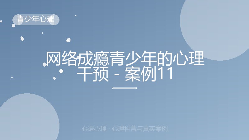 网络成瘾青少年的心理干预 - 案例11