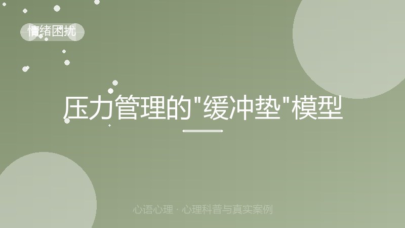 压力管理的"缓冲垫"模型